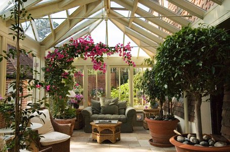 Зимний сад в частном доме: советы по строительству зимнего сада в загородном доме
